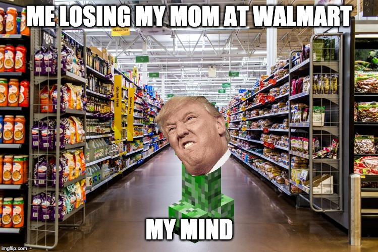 Walmart | ME LOSING MY MOM AT WALMART; MY MIND | image tagged in walmart | made w/ Imgflip meme maker