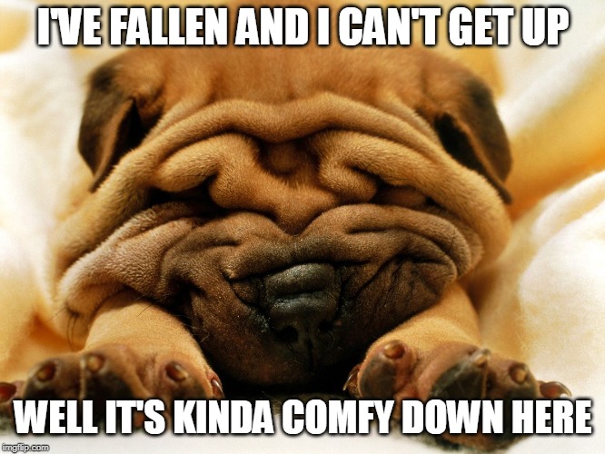 sleepy shar pei puppy | I'VE FALLEN AND I CAN'T GET UP; WELL IT'S KINDA COMFY DOWN HERE | image tagged in sleepy shar pei puppy | made w/ Imgflip meme maker