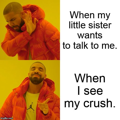 Drake Hotline Bling Meme | When my little sister wants to talk to me. When I see my crush. | image tagged in memes,drake hotline bling,funny | made w/ Imgflip meme maker