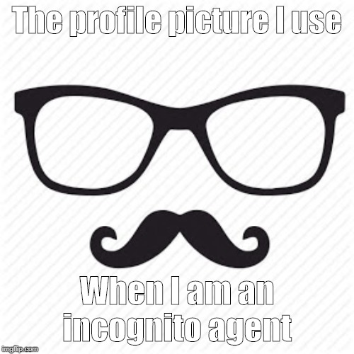New Meme Template | The profile picture I use; When I am an incognito agent | image tagged in incognito,new memes,new template | made w/ Imgflip meme maker
