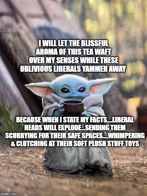 politics | I WILL LET THE BLISSFUL AROMA OF THIS TEA WAFT OVER MY SENSES WHILE THESE OBLIVIOUS LIBERALS YAMMER AWAY; BECAUSE WHEN I STATE MY FACTS....LIBERAL HEADS WILL EXPLODE...SENDING THEM SCURRYING FOR THEIR SAFE SPACES....WHIMPERING & CLUTCHING AT THEIR SOFT PLUSH STUFF TOYS | image tagged in political meme | made w/ Imgflip meme maker