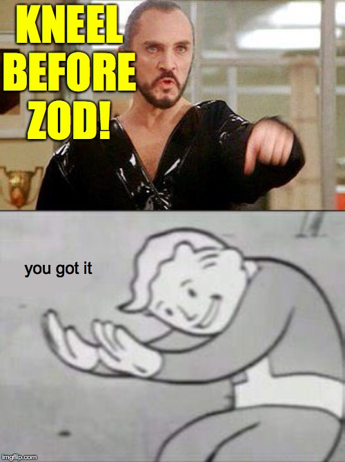 Raydog will save us! | KNEEL BEFORE ZOD! you got it | image tagged in general zod,fallout hold up,memes,raydog help | made w/ Imgflip meme maker