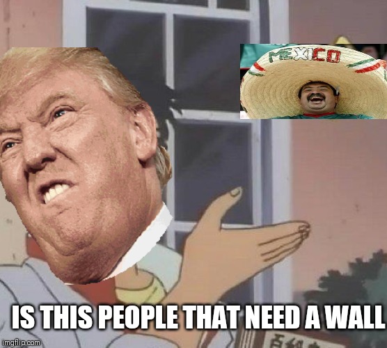 IS THIS PEOPLE THAT NEED A WALL | image tagged in donald trump | made w/ Imgflip meme maker