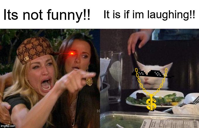 Woman Yelling At Cat | Its not funny!! It is if im laughing!! | image tagged in memes,woman yelling at cat | made w/ Imgflip meme maker