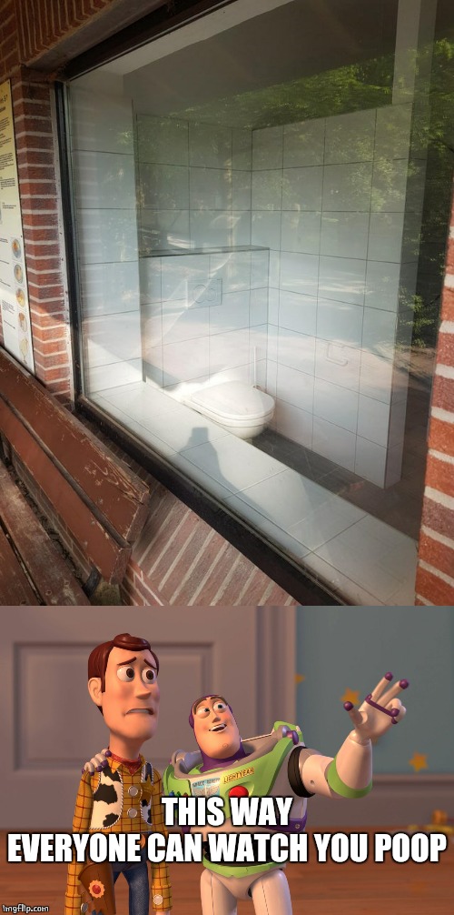 WHO WOULD WANT THAT? | THIS WAY
EVERYONE CAN WATCH YOU POOP | image tagged in memes,x x everywhere,toilet | made w/ Imgflip meme maker