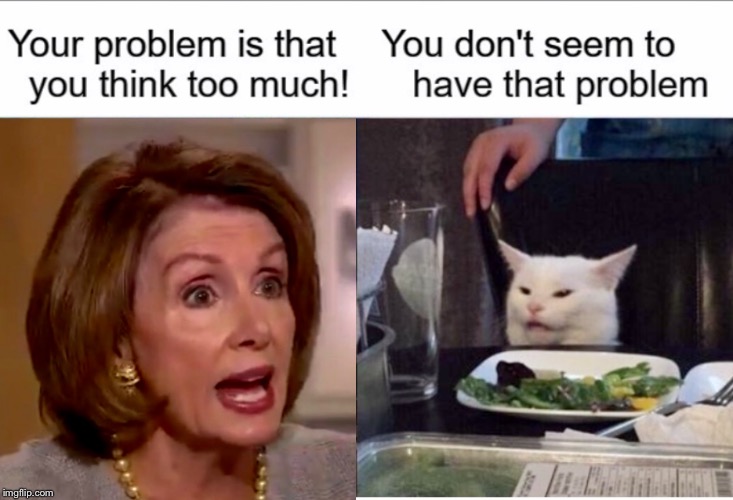 image tagged in nancy pelosi | made w/ Imgflip meme maker