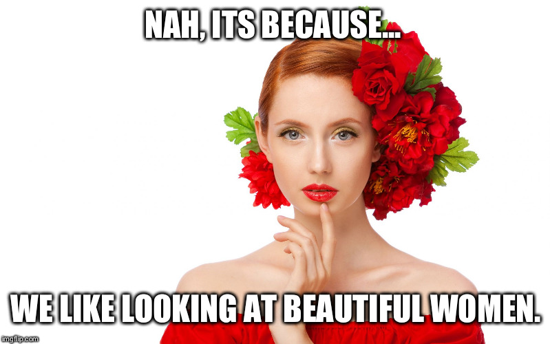 Craziness Pretty Woman | NAH, ITS BECAUSE... WE LIKE LOOKING AT BEAUTIFUL WOMEN. | image tagged in craziness pretty woman | made w/ Imgflip meme maker