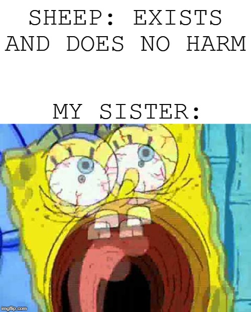 SHEEP: EXISTS AND DOES NO HARM MY SISTER: | image tagged in blank white template,spongebob screaming | made w/ Imgflip meme maker