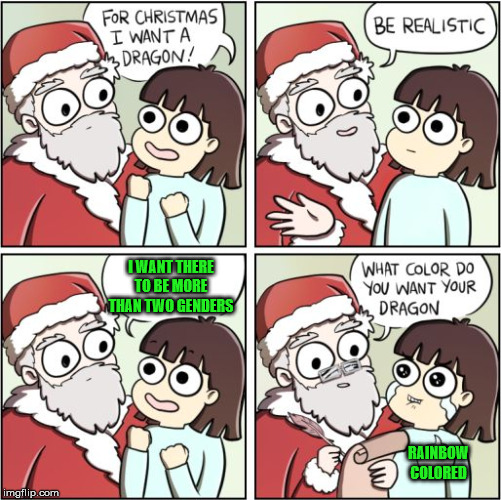 For Christmas I Want a Dragon | I WANT THERE TO BE MORE THAN TWO GENDERS; RAINBOW COLORED | image tagged in for christmas i want a dragon,gender | made w/ Imgflip meme maker