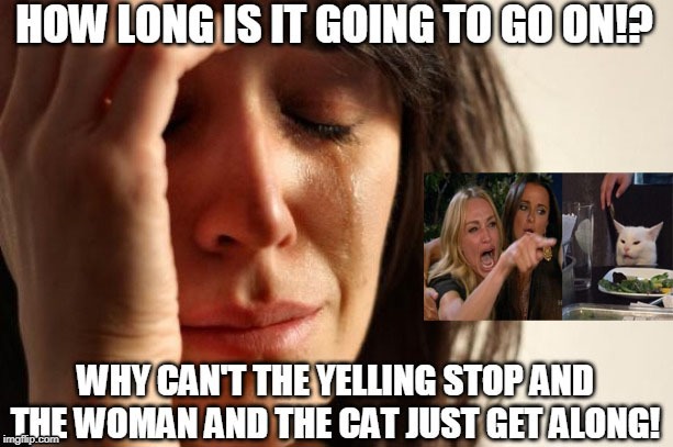 If they can't stop fighting, they should get married. | image tagged in memes,woman yelling at cat | made w/ Imgflip meme maker