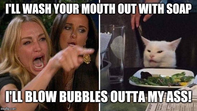 Angry lady cat | I'LL WASH YOUR MOUTH OUT WITH SOAP; I'LL BLOW BUBBLES OUTTA MY ASS! | image tagged in angry lady cat | made w/ Imgflip meme maker