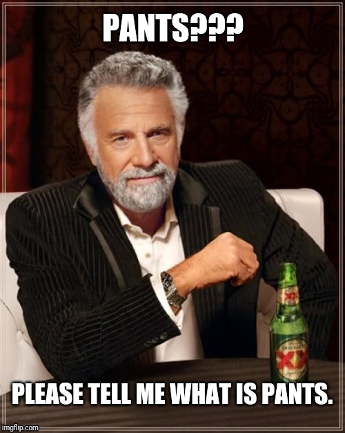 The Most Interesting Man In The World | PANTS??? PLEASE TELL ME WHAT IS PANTS. | image tagged in memes,the most interesting man in the world | made w/ Imgflip meme maker