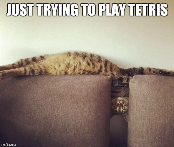 TETRIS CAT - Imgflip