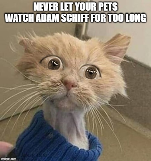 don't look at Schiff | image tagged in shiff,bug eyes | made w/ Imgflip meme maker