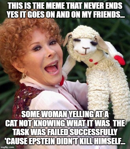 Lamb chop | THIS IS THE MEME THAT NEVER ENDS  YES IT GOES ON AND ON MY FRIENDS... SOME WOMAN YELLING AT A CAT NOT KNOWING WHAT IT WAS  THE TASK WAS FAILED SUCCESSFULLY 'CAUSE EPSTEIN DIDN'T KILL HIMSELF... | image tagged in lamb chop | made w/ Imgflip meme maker