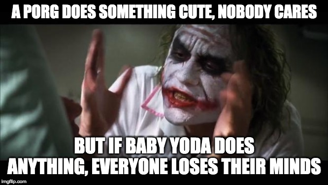 Baby Yoda is awesome | A PORG DOES SOMETHING CUTE, NOBODY CARES; BUT IF BABY YODA DOES ANYTHING, EVERYONE LOSES THEIR MINDS | image tagged in memes,and everybody loses their minds | made w/ Imgflip meme maker