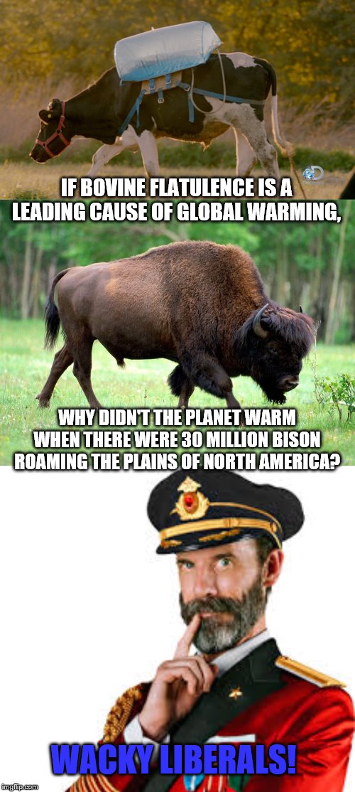 Do cow farts really warm the planet?  Logic says no | IF BOVINE FLATULENCE IS A LEADING CAUSE OF GLOBAL WARMING, WHY DIDN'T THE PLANET WARM WHEN THERE WERE 30 MILLION BISON ROAMING THE PLAINS OF NORTH AMERICA? WACKY LIBERALS! | image tagged in bison biscuits,hmm captain obvious,bovine flatulance,wacky liberals | made w/ Imgflip meme maker