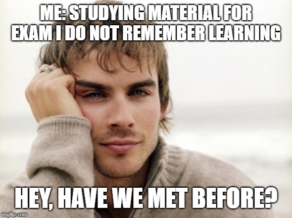 exam time | ME: STUDYING MATERIAL FOR EXAM I DO NOT REMEMBER LEARNING; HEY, HAVE WE MET BEFORE? | image tagged in student life,exams | made w/ Imgflip meme maker