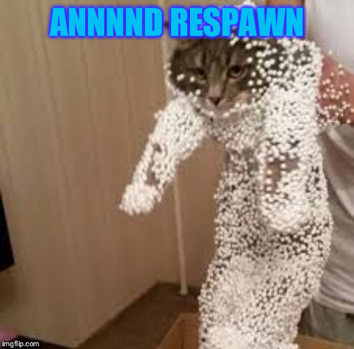 cat | ANNNND RESPAWN | image tagged in cat | made w/ Imgflip meme maker
