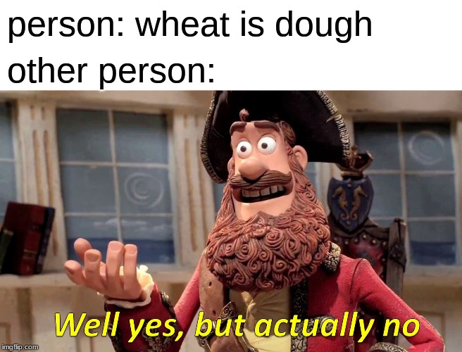 Well Yes, But Actually No Meme | person: wheat is dough; other person: | image tagged in memes,well yes but actually no | made w/ Imgflip meme maker