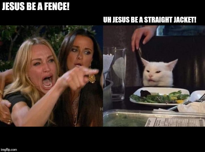 Crying lady and cat | JESUS BE A FENCE! UH JESUS BE A STRAIGHT JACKET! | image tagged in crying lady and cat | made w/ Imgflip meme maker