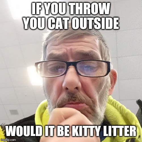 Pondering Bert | IF YOU THROW YOU CAT OUTSIDE; WOULD IT BE KITTY LITTER | image tagged in pondering bert | made w/ Imgflip meme maker