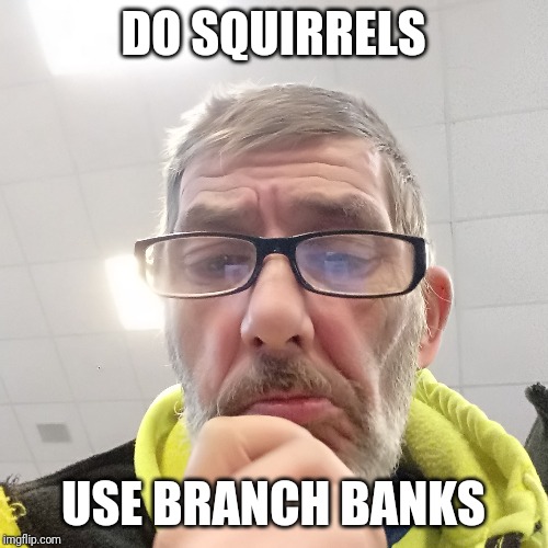 Pondering Bert | DO SQUIRRELS; USE BRANCH BANKS | image tagged in pondering bert | made w/ Imgflip meme maker