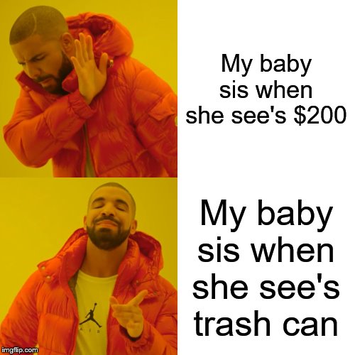 Drake Hotline Bling Meme | My baby sis when she see's $200; My baby sis when she see's trash can | image tagged in memes,drake hotline bling | made w/ Imgflip meme maker