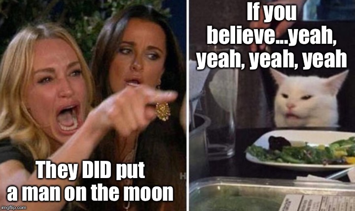 PeloCatt2 | If you believe...yeah, yeah, yeah, yeah; They DID put a man on the moon | image tagged in funny | made w/ Imgflip meme maker