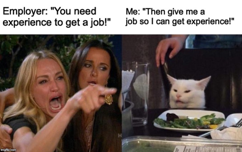 image tagged in millennials,jobs,experience | made w/ Imgflip meme maker