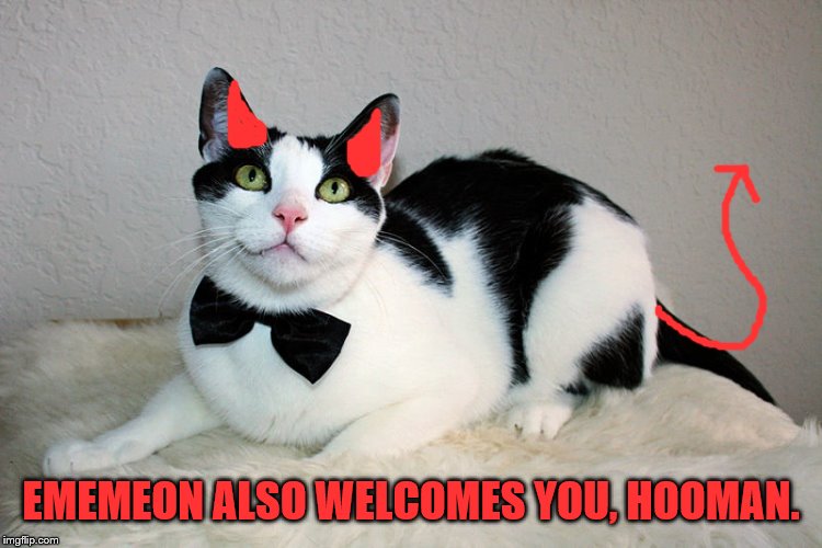 EMEMEON ALSO WELCOMES YOU, HOOMAN. | made w/ Imgflip meme maker
