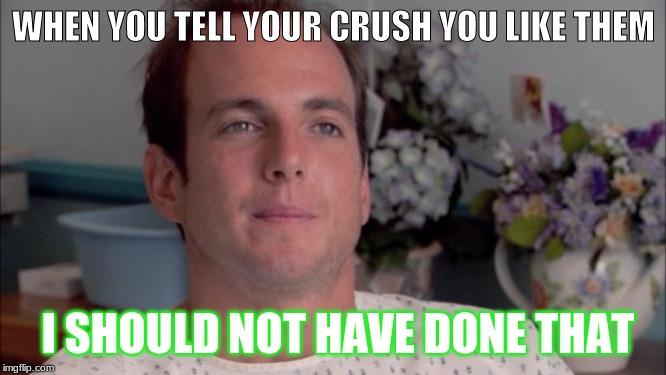 ive made a huge mistake | WHEN YOU TELL YOUR CRUSH YOU LIKE THEM; I SHOULD NOT HAVE DONE THAT | image tagged in ive made a huge mistake,funny,funny memes | made w/ Imgflip meme maker