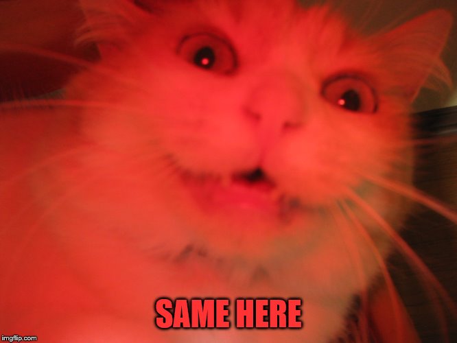 Demon cat | SAME HERE | image tagged in demon cat | made w/ Imgflip meme maker