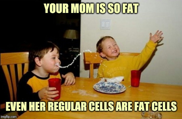 Yo Mamas So Fat | YOUR MOM IS SO FAT; EVEN HER REGULAR CELLS ARE FAT CELLS | image tagged in memes,yo mamas so fat | made w/ Imgflip meme maker