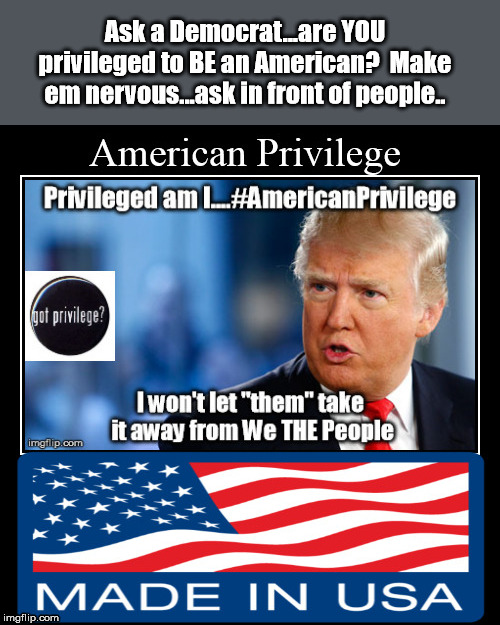 Confirm your American Privilege | Ask a Democrat...are YOU privileged to BE an American?  Make em nervous...ask in front of people.. | image tagged in donald trump | made w/ Imgflip meme maker