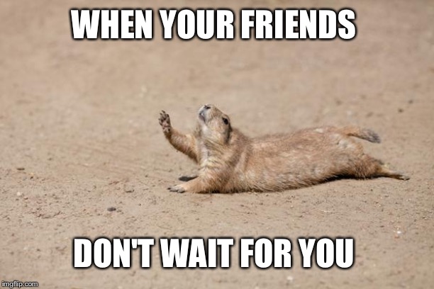 Gopher? | WHEN YOUR FRIENDS; DON'T WAIT FOR YOU | image tagged in gopher | made w/ Imgflip meme maker