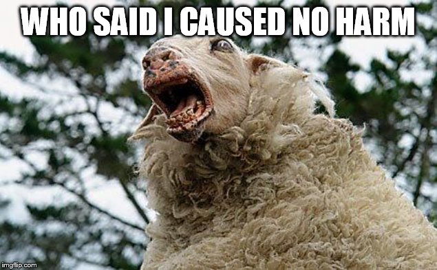 Mad Sheep | WHO SAID I CAUSED NO HARM | image tagged in mad sheep | made w/ Imgflip meme maker