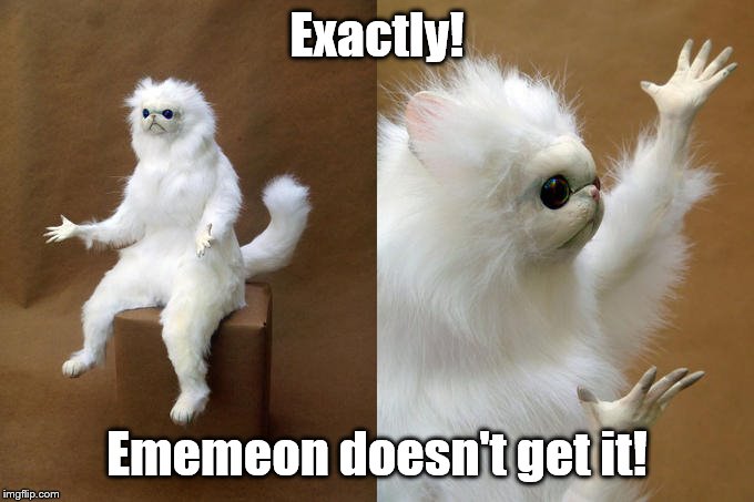 Persian Cat Room Guardian Meme | Exactly! Ememeon doesn't get it! | image tagged in memes,persian cat room guardian | made w/ Imgflip meme maker