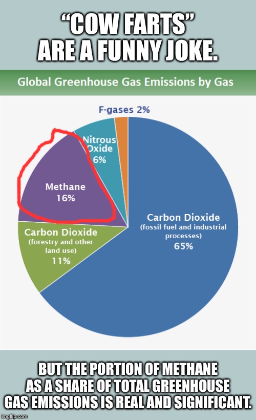 When they make the “cow farts” joke again. | “COW FARTS” ARE A FUNNY JOKE. BUT THE PORTION OF METHANE AS A SHARE OF TOTAL GREENHOUSE GAS EMISSIONS IS REAL AND SIGNIFICANT. | image tagged in greenhouse gas emissions for cow fart reaccs,global warming,climate change,climate,environment,pie chart | made w/ Imgflip meme maker