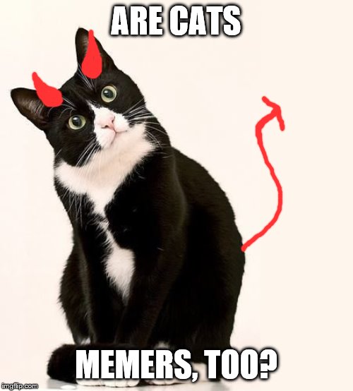 Tuxedo Cat | ARE CATS MEMERS, TOO? | image tagged in tuxedo cat | made w/ Imgflip meme maker