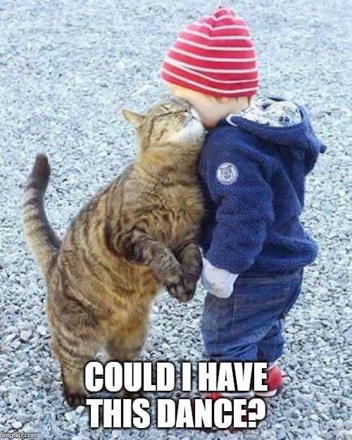 Dance | COULD I HAVE THIS DANCE? | image tagged in cats,child,dancing | made w/ Imgflip meme maker