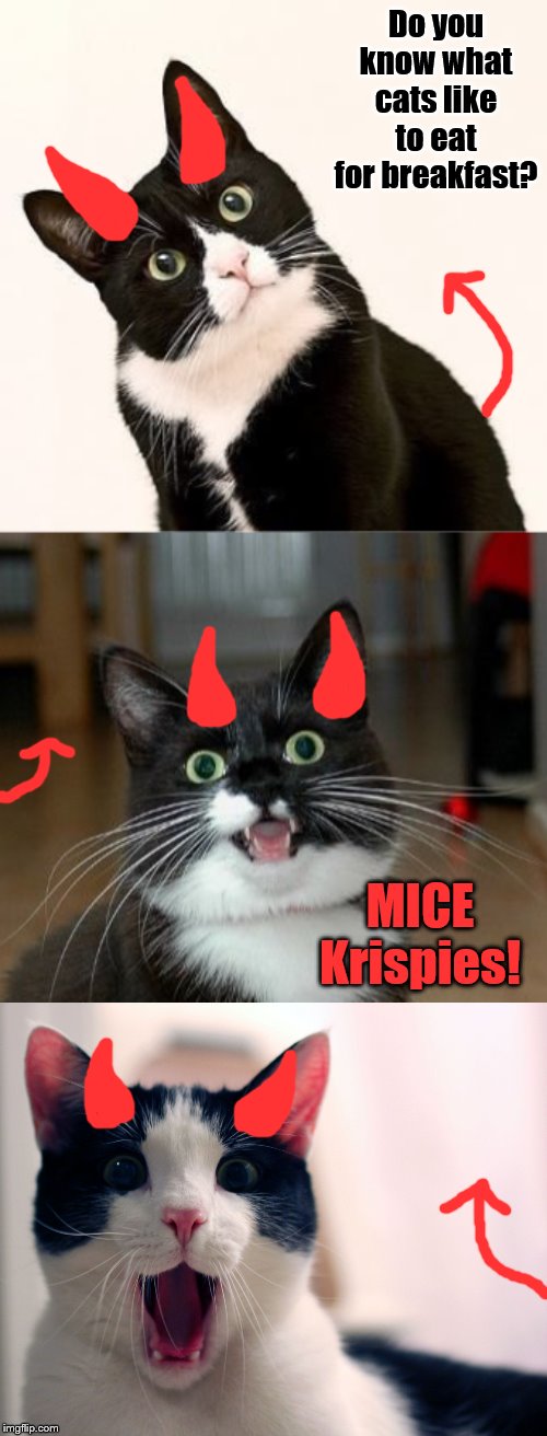Bad Pun Ememeon | Do you know what cats like to eat for breakfast? MICE Krispies! | image tagged in tuxedo cat chess,tuxedo cat,bad pun | made w/ Imgflip meme maker