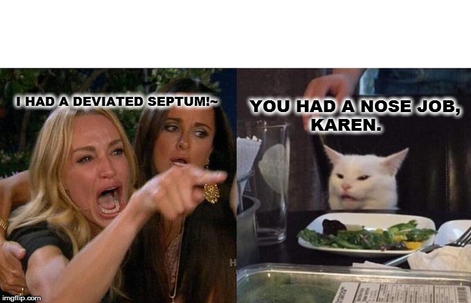 Woman Yelling At Cat | I HAD A DEVIATED SEPTUM!~; YOU HAD A NOSE JOB, 
           KAREN. | image tagged in memes,woman yelling at cat | made w/ Imgflip meme maker