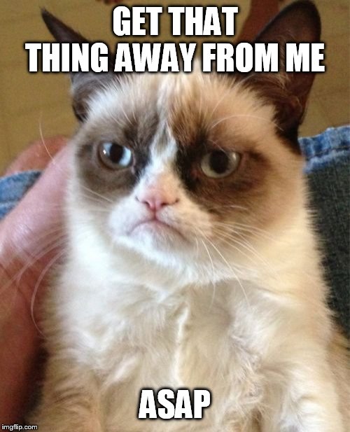 Grumpy Cat Meme | GET THAT THING AWAY FROM ME ASAP | image tagged in memes,grumpy cat | made w/ Imgflip meme maker
