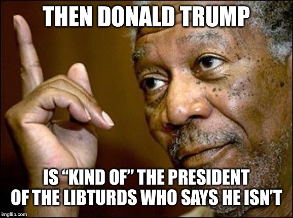 This Morgan Freeman | THEN DONALD TRUMP IS “KIND OF” THE PRESIDENT OF THE LIBTURDS WHO SAYS HE ISN’T | image tagged in this morgan freeman | made w/ Imgflip meme maker