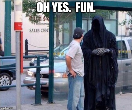 Grim reaper  | OH YES.  FUN. | image tagged in grim reaper | made w/ Imgflip meme maker