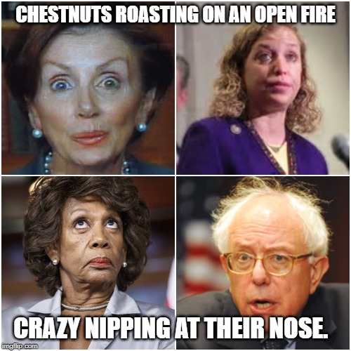 Crazy Democrats | CHESTNUTS ROASTING ON AN OPEN FIRE; CRAZY NIPPING AT THEIR NOSE. | image tagged in crazy democrats | made w/ Imgflip meme maker