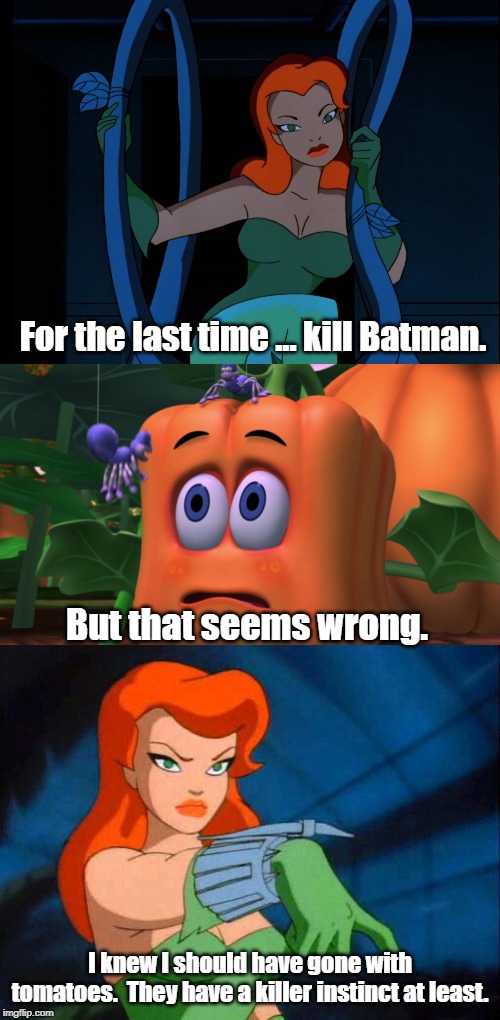 Spookley, Ivy's square failure. | For the last time ... kill Batman. But that seems wrong. I knew I should have gone with tomatoes.  They have a killer instinct at least. | image tagged in poison ivy,batman,spookley,square pumpkin | made w/ Imgflip meme maker