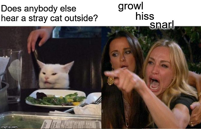Woman Yelling At Cat |  Does anybody else hear a stray cat outside? growl; hiss; snarl | image tagged in woman yelling at cat,memes,grumpy cat,hear no evil,real housewives screaming cat,but thats none of my business | made w/ Imgflip meme maker