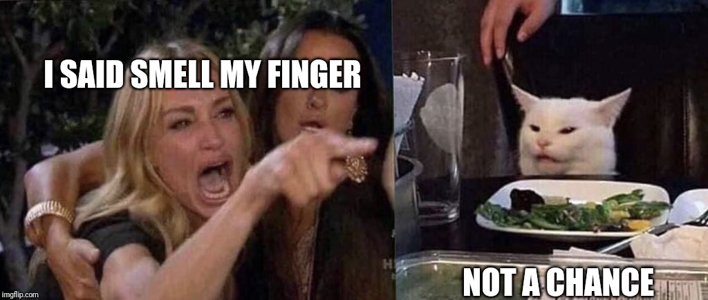 woman yelling at cat | I SAID SMELL MY FINGER; NOT A CHANCE | image tagged in woman yelling at cat | made w/ Imgflip meme maker
